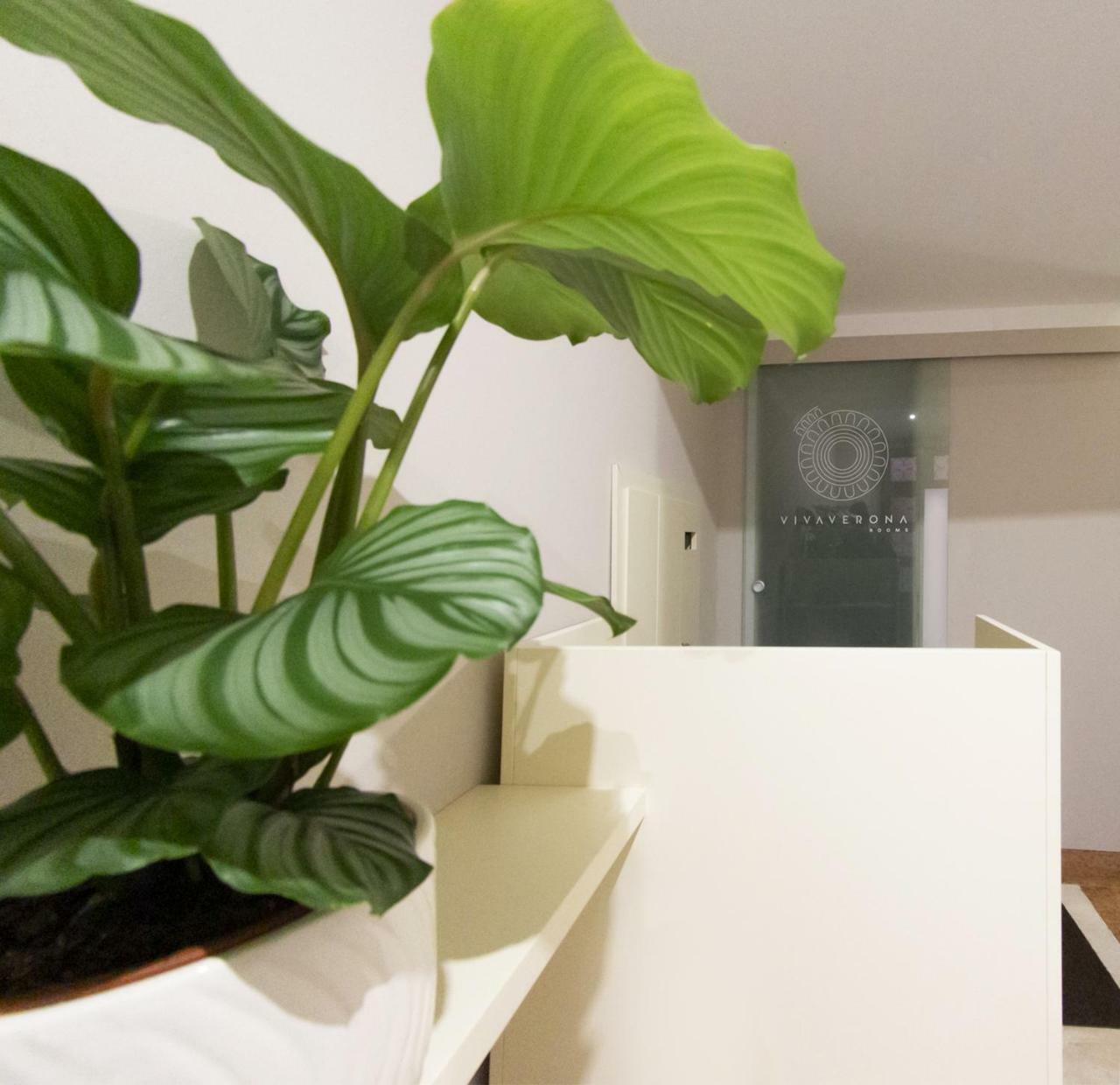 Vivaverona Rooms מראה חיצוני תמונה